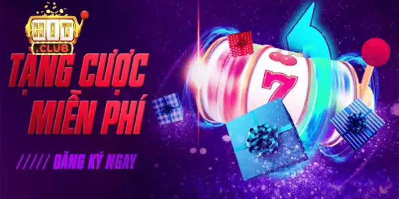 Các vòng cược hợp lệ