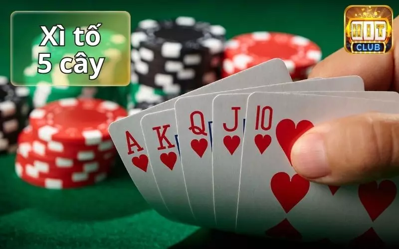 Tựa game 5 cây xì tố trực tuyến tại Hitclub