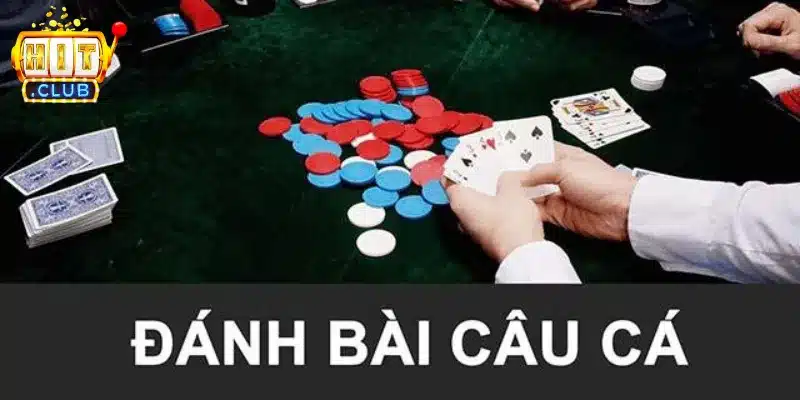 Giới thiệu cách chơi bài câu cá tại Hitclub